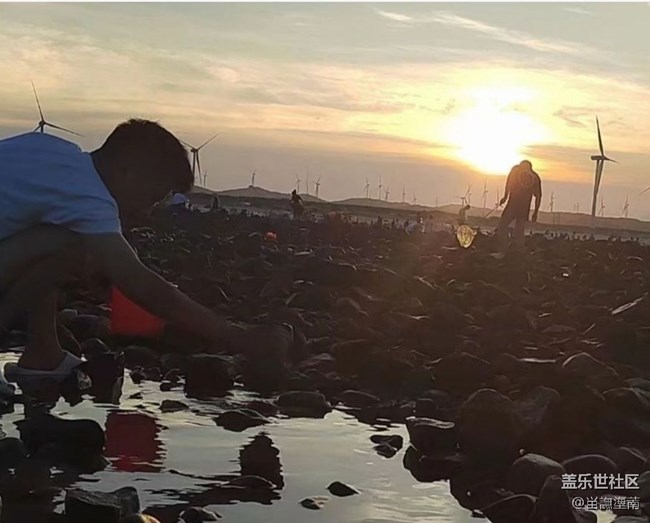 【雨過天晴】趕海