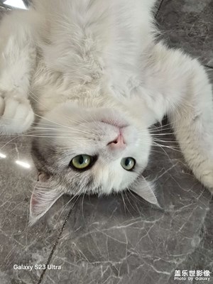 【遠(yuǎn)與近】+?旅行日記