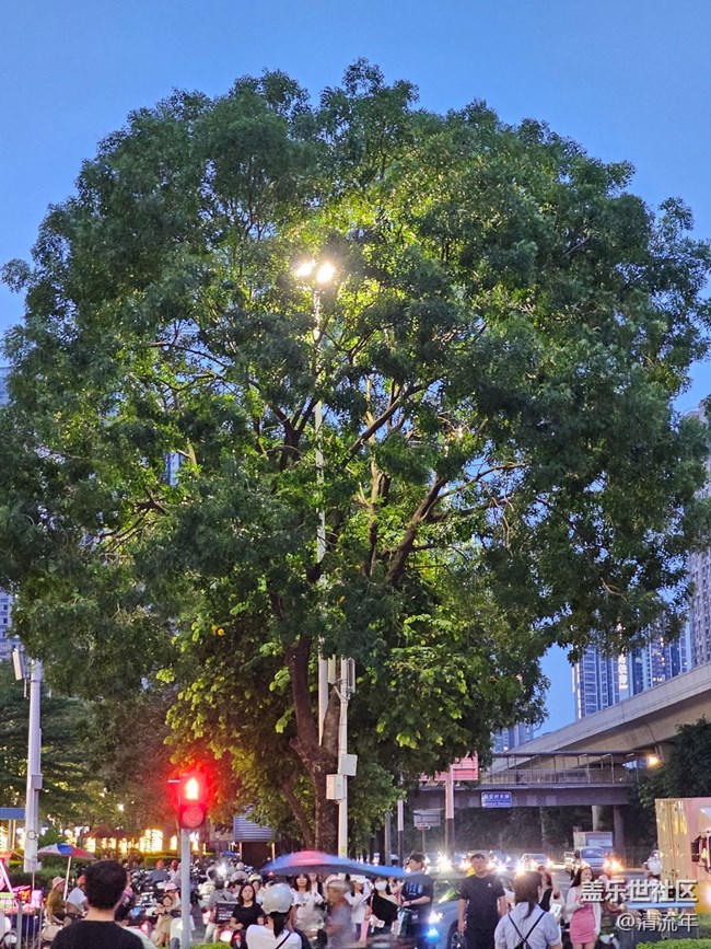 【盛京夏夜】夜晚燈火
