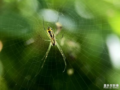 【遠(yuǎn)與近】S23Ultra 鏡頭里的遠(yuǎn)與近