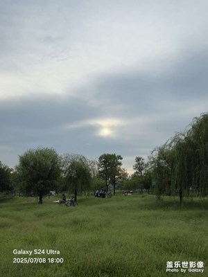 【愛(ài)?分享】綠意盎然的東江濕地公園