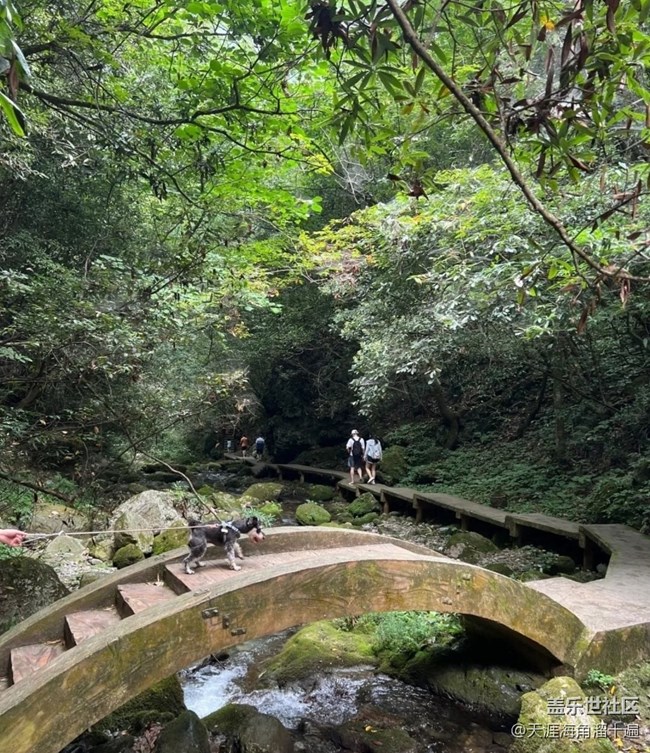 【避暑圣地】五道峽