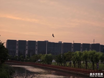 【遠與近】+ 夕陽