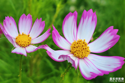 來看看三星25二億像素直出