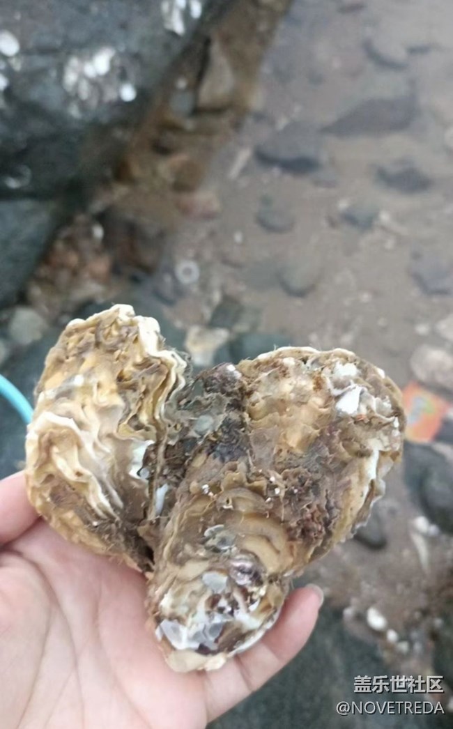 【避暑圣地】海邊