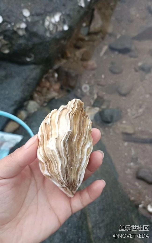 【避暑圣地】海邊