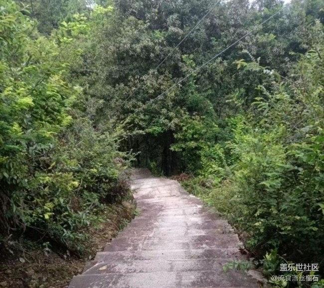 【光影之約】晨練