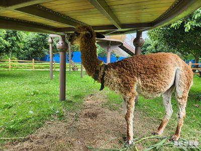 【遠(yuǎn)與近】房車露營(yíng)