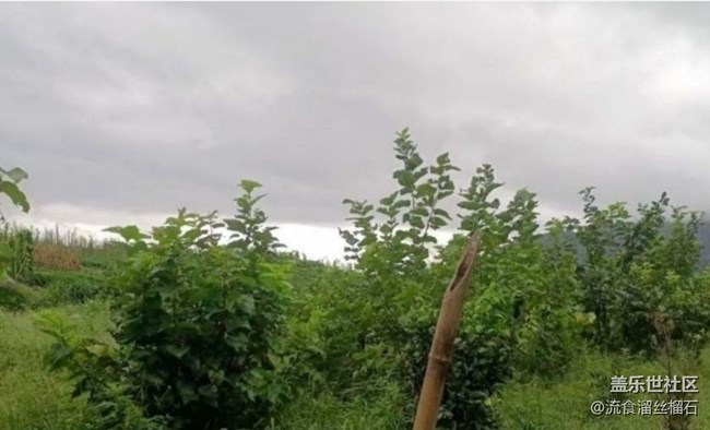 【光影之約】晨練