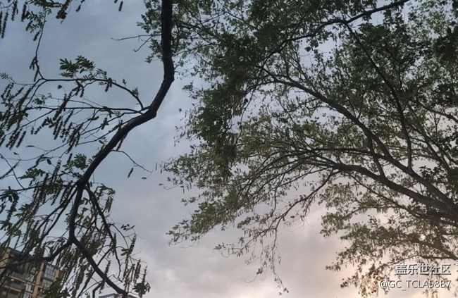 【光影之約】期待下雨