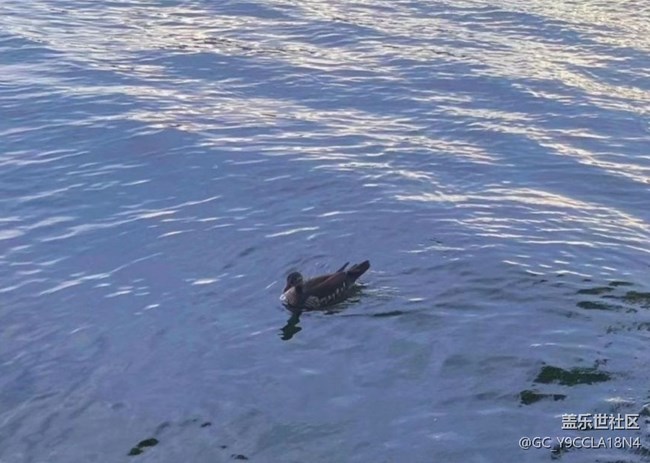 【光影之約】西湖