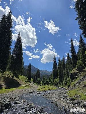 【遠與近】+ 你好大自然
