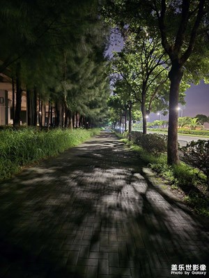【遠(yuǎn)與近】夜色撩人