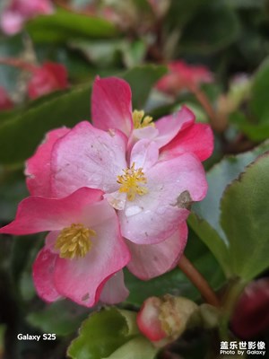 【遠(yuǎn)與近】生活的色彩