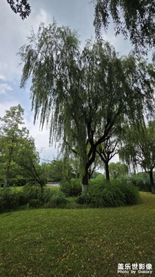 【遠(yuǎn)與近】+?夏天的河邊