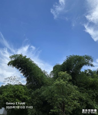 【遠(yuǎn)與近】 雨后陽(yáng)光