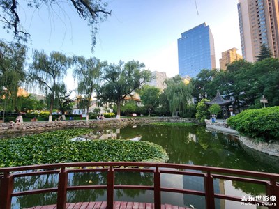 【遠(yuǎn)與近】隨手拍