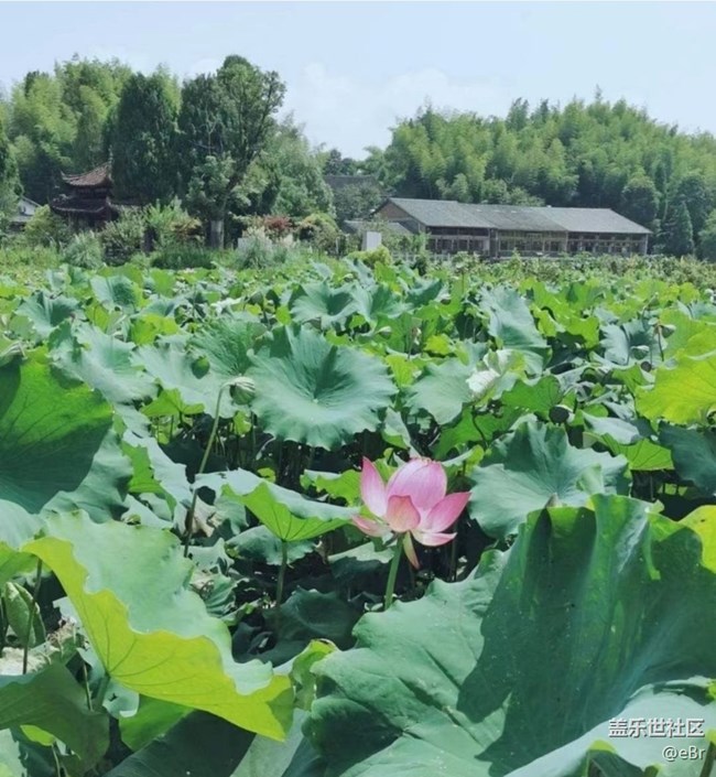 【雨過天晴】家鄉(xiāng)風景