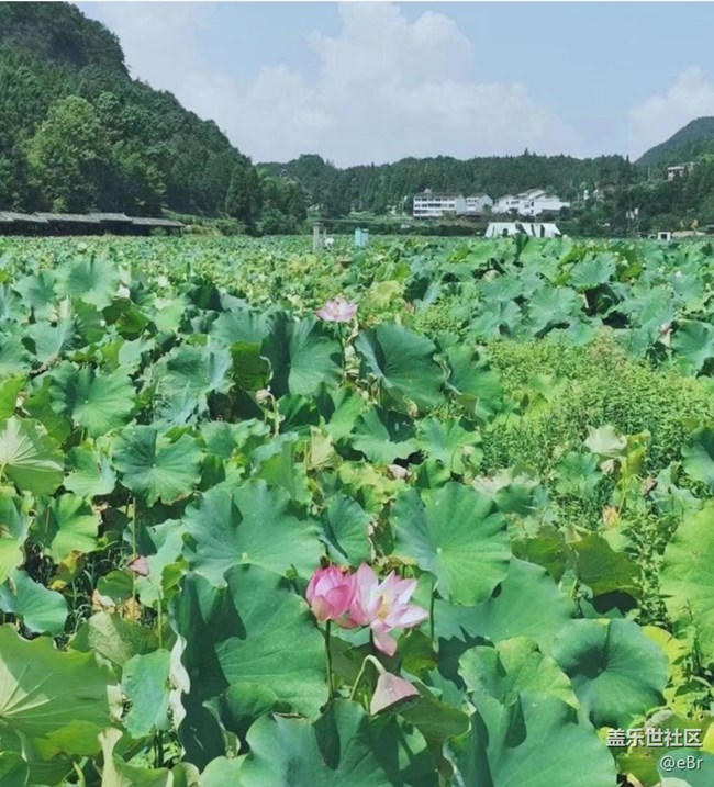 【雨過天晴】家鄉(xiāng)風景