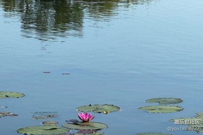 【光影之約】西湖美景