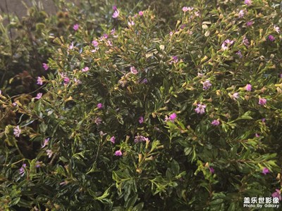 【遠(yuǎn)與近】+?都很美