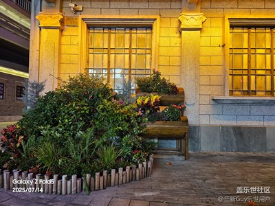 【遠(yuǎn)與近】一花一世界