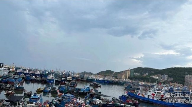 【雨過天晴】趕海