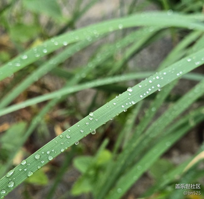【雨過天晴】+雨后的生機(jī)