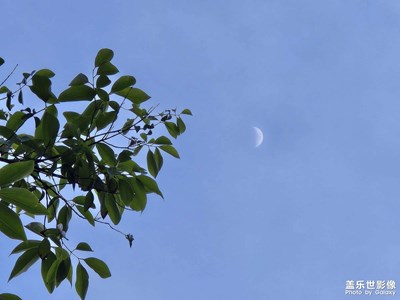 【遠與近】+月亮