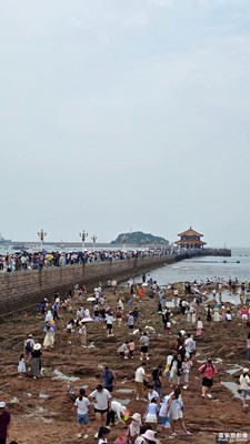 來棧橋，聆聽海浪的低吟