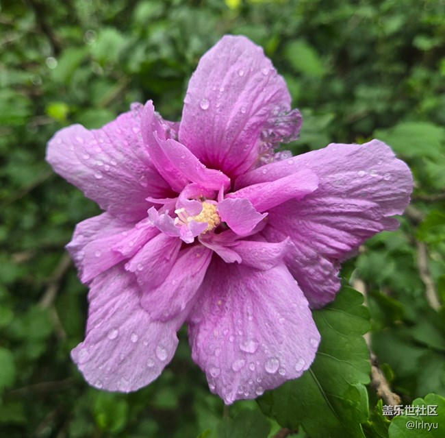 【雨過天晴】雨后萬象新