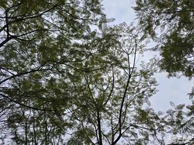 【遠(yuǎn)與近】+?印象隨拍