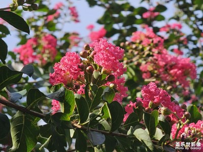 【遠(yuǎn)與近】陽(yáng)光下