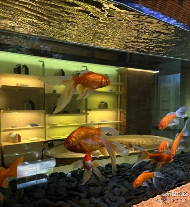 【光影之約】夜晚隨拍