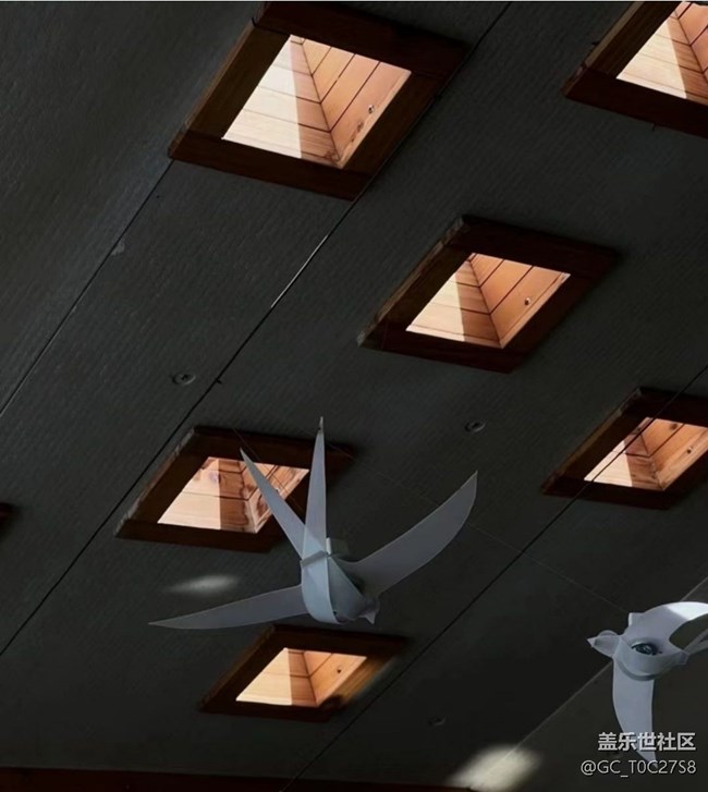 【光影之約】夜晚隨拍