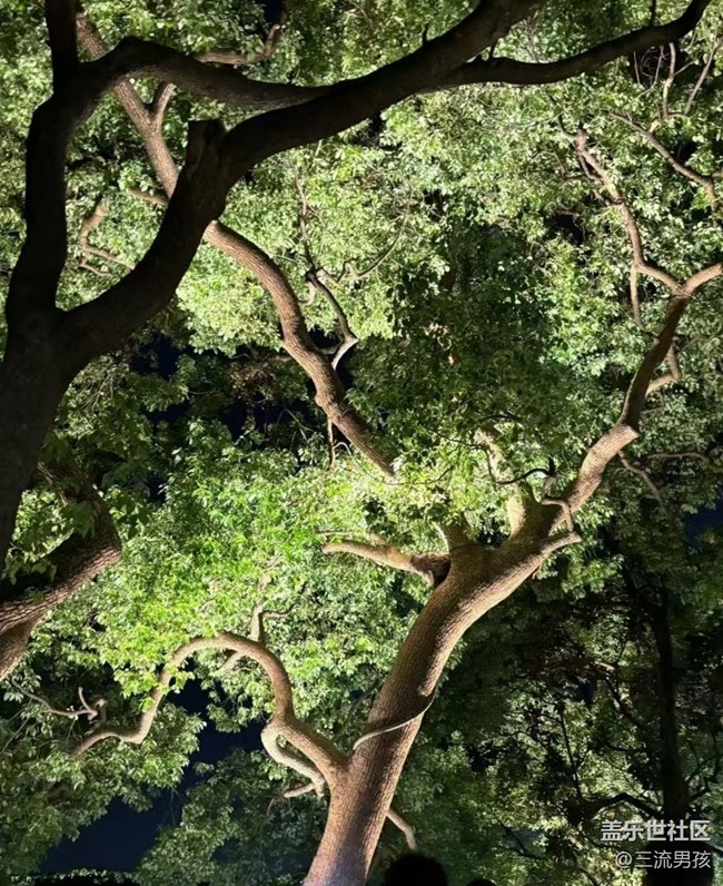 【光影之約】游西湖