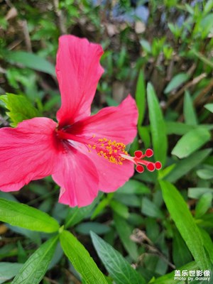 【 尋蹤古韻】庭院