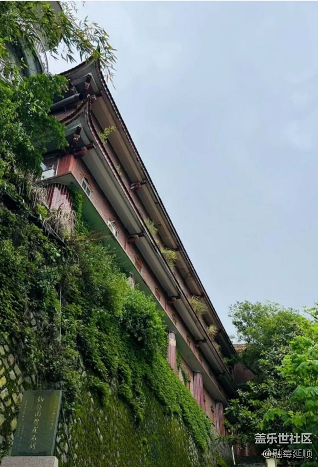 【雨過天晴】天然氧吧