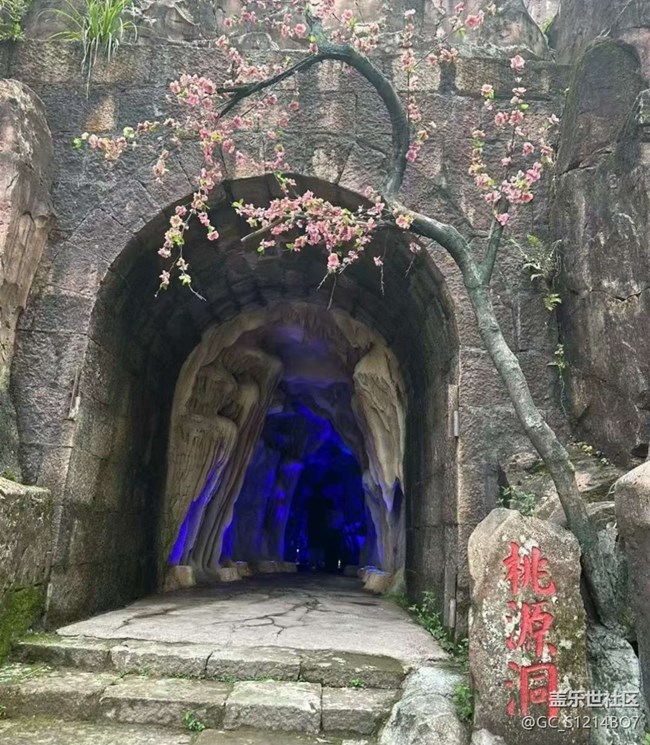 【光影之約】你好七月