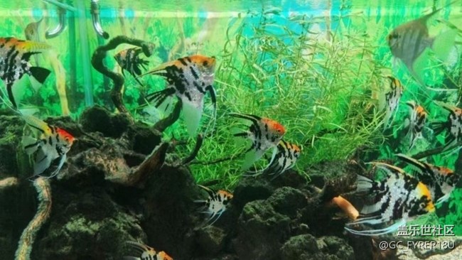 【畢業(yè)之旅】海洋館