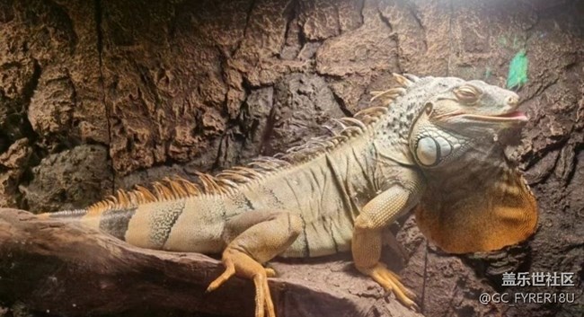 【畢業(yè)之旅】海洋館