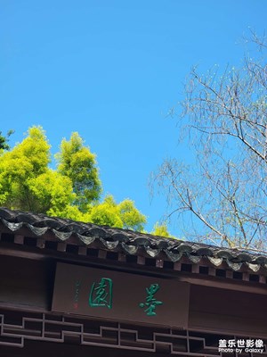 【尋蹤古韻】深圳園博園