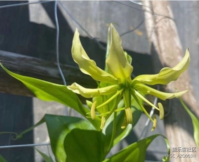 【雨過天晴】種花