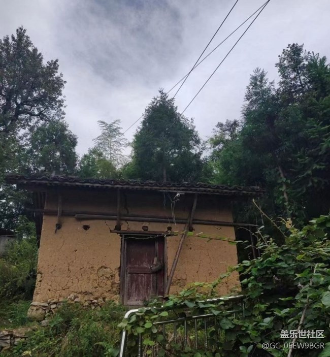 【光影之約】故鄉(xiāng)的綠色