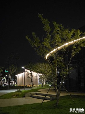 公園一角之夜景