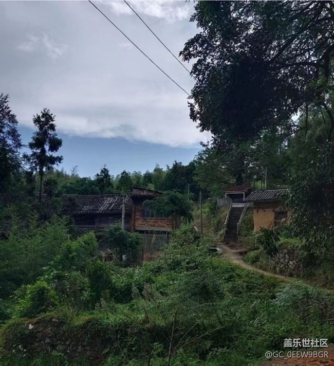 【光影之約】故鄉(xiāng)的綠色