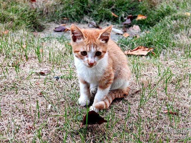 【七月敘事詩】+ 七月情韻