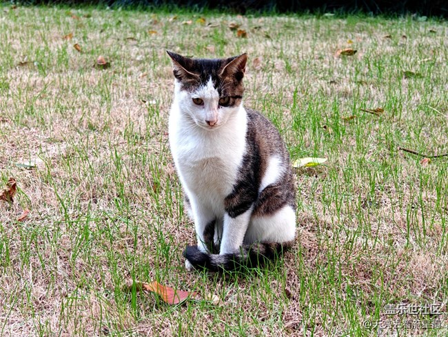 【七月敘事詩】+ 七月情韻