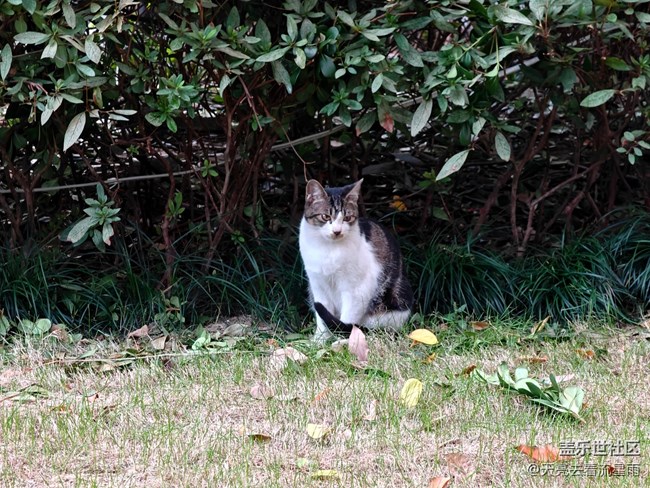 【七月敘事詩】+ 七月情韻