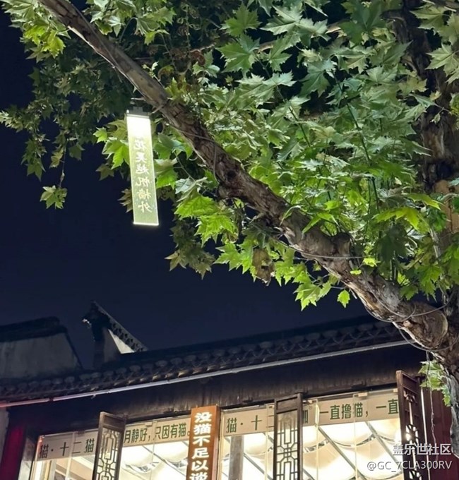 【畢業(yè)之旅】江南水鄉(xiāng)